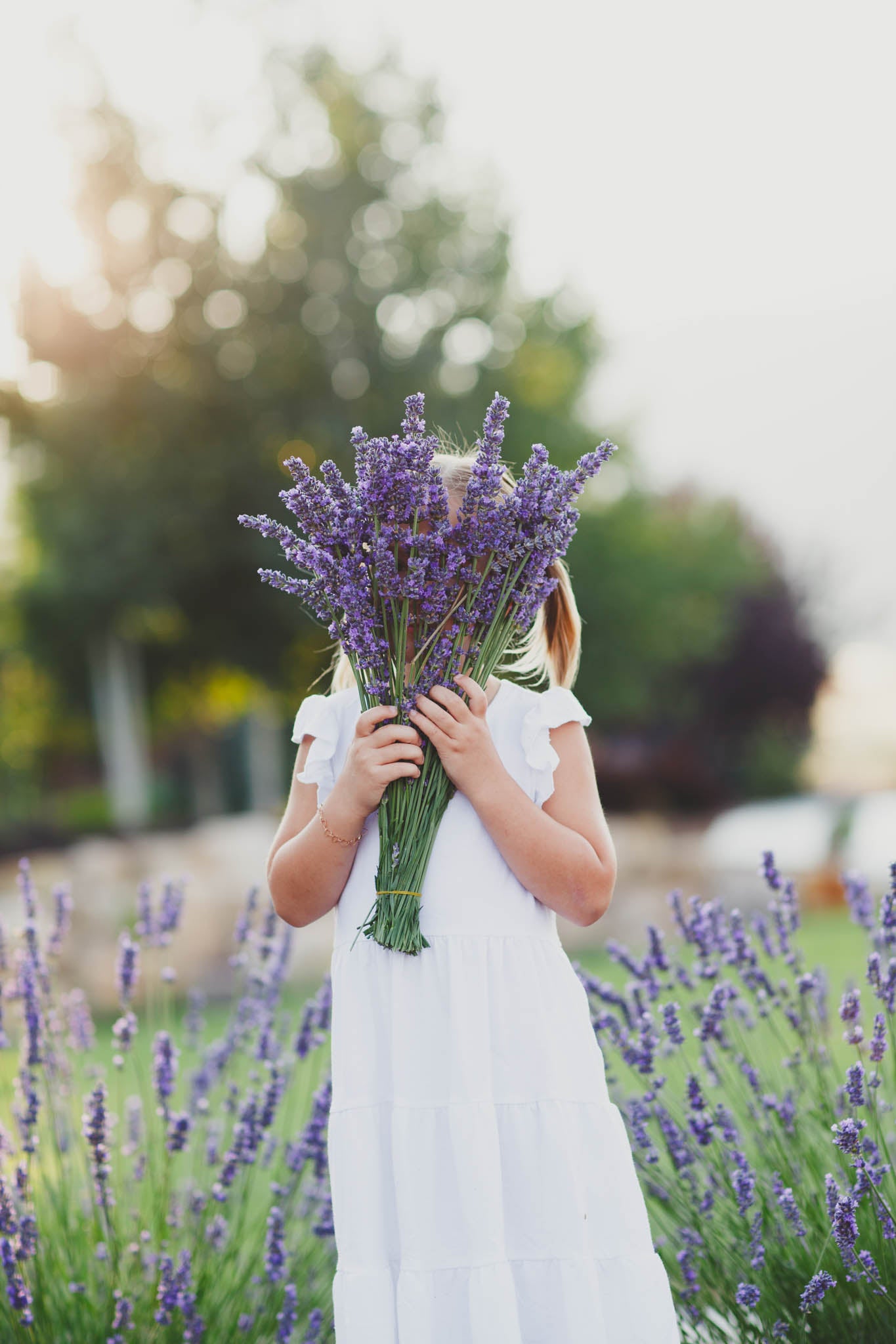 Fresh Lavender Bouquet