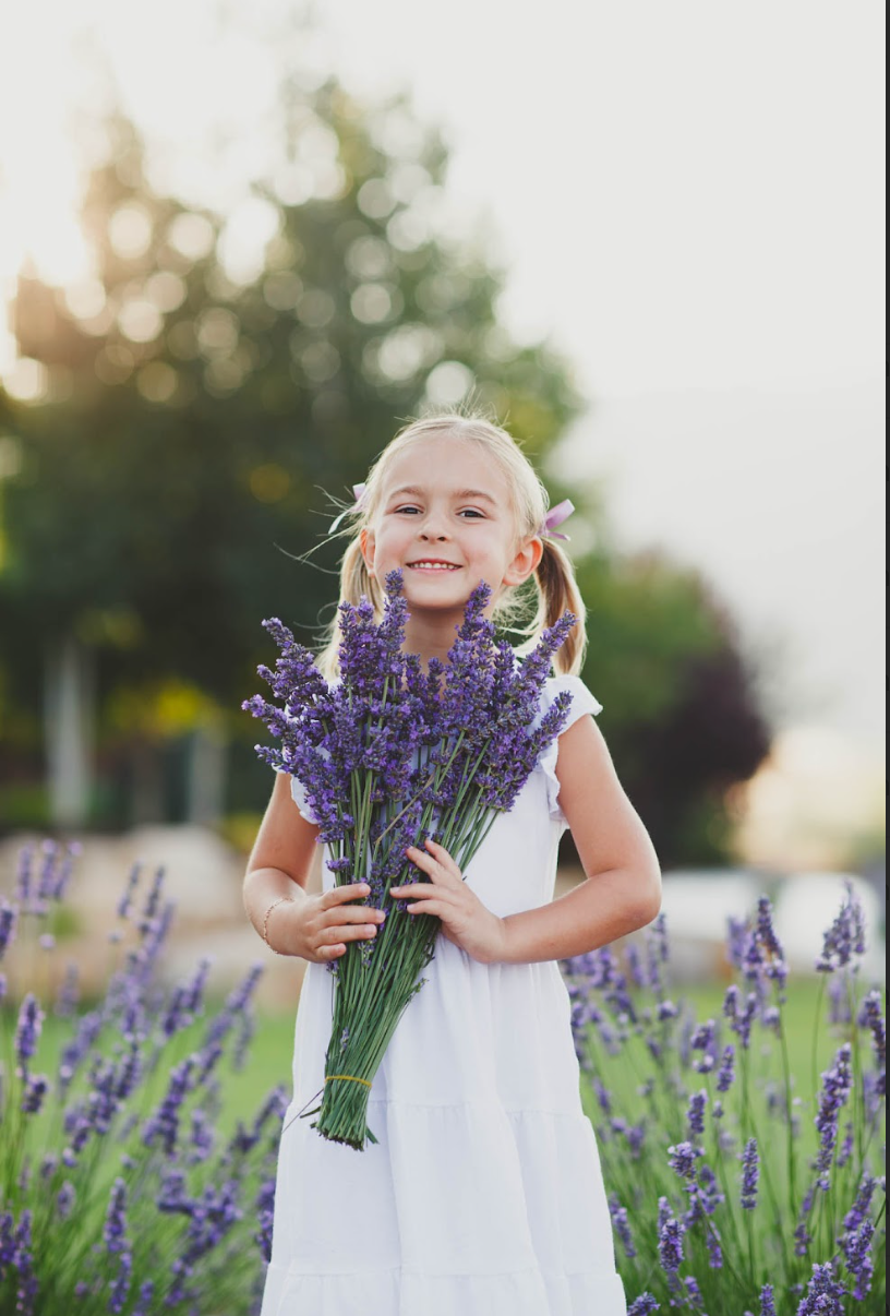 Professional Photography Pass