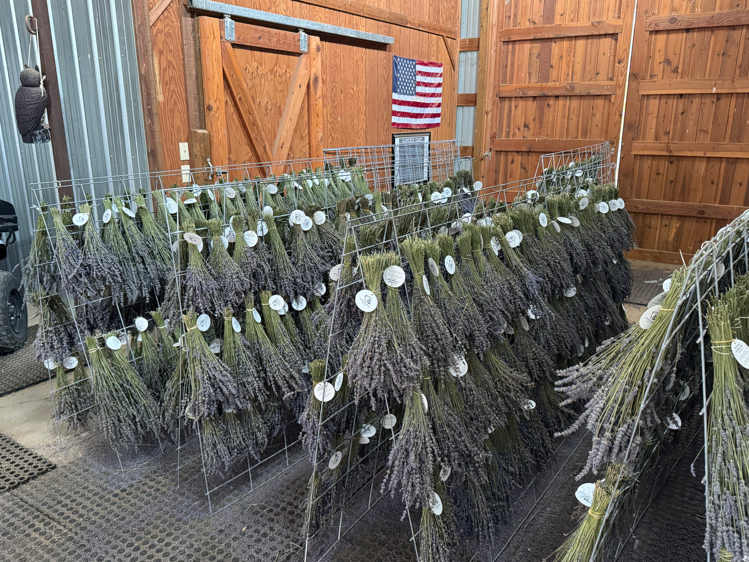 Dried Lavender Bouquet