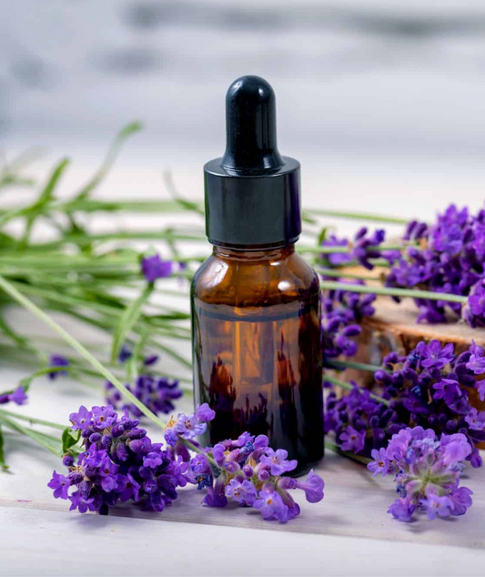 Lavender Essential Oil